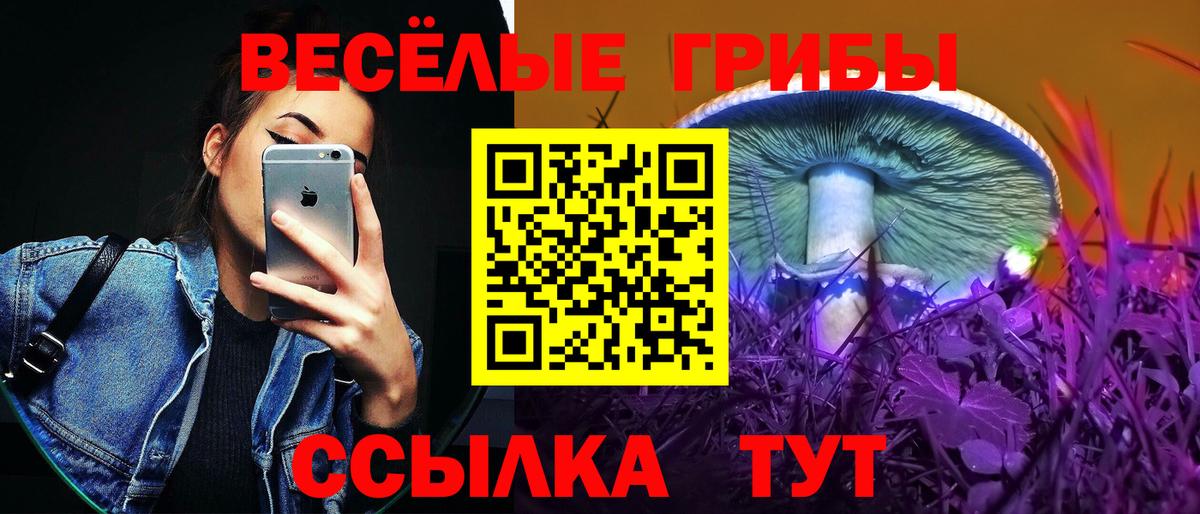 Галлюциногенные грибы ЛСД  Вход с VPN  Чайковский  Галлюциногенные грибы мицелий 